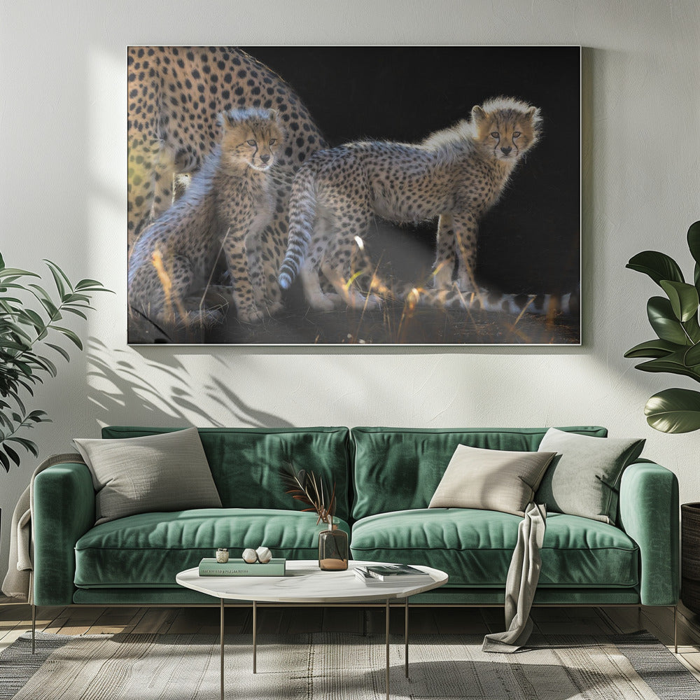 Baby Cheetahs Poster