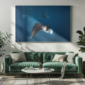 Manta ray! Poster