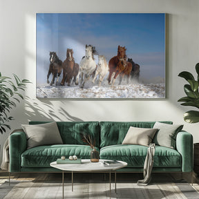 Mongolia Horses Poster