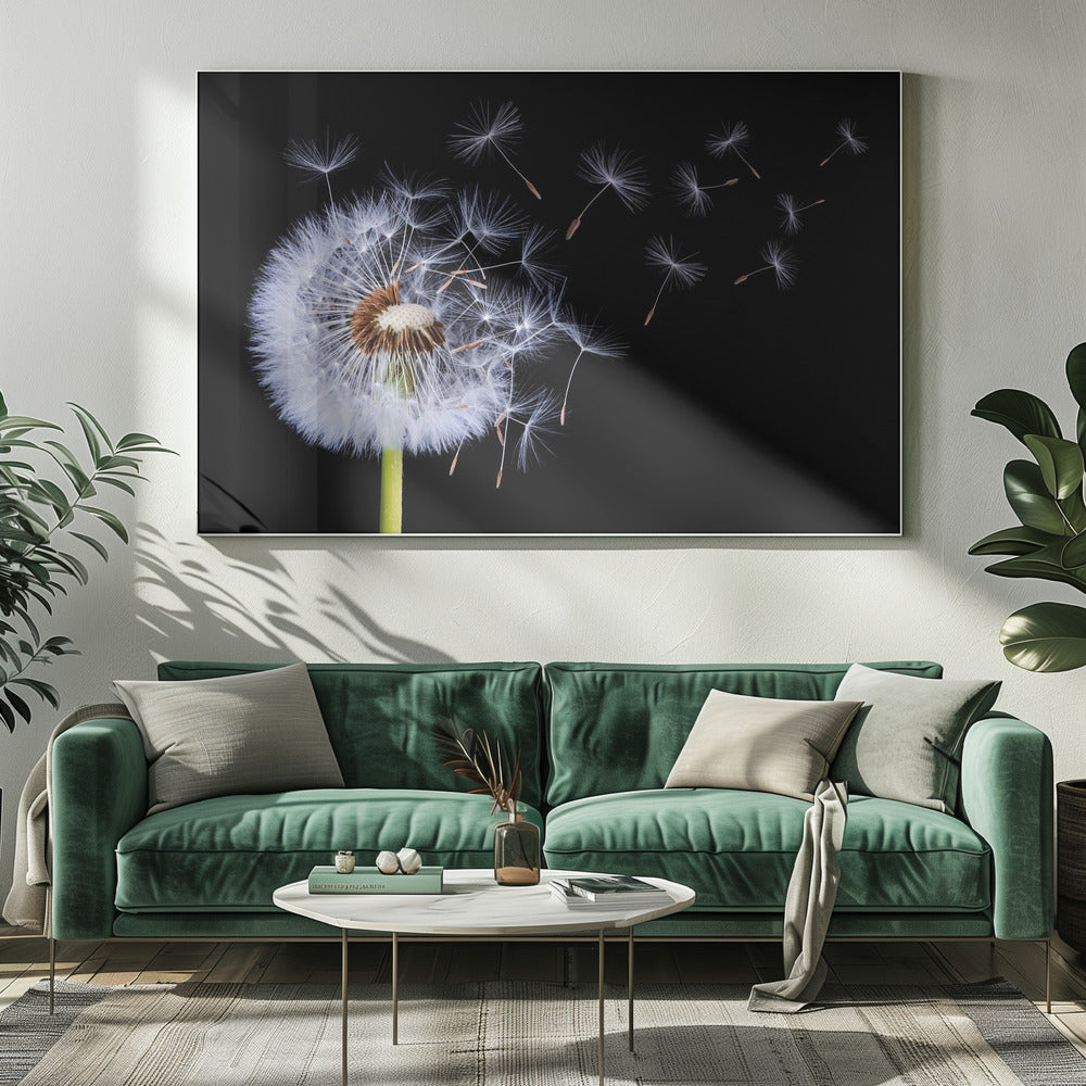 Dandelion Blowing Poster