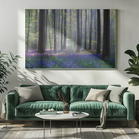 Bluebells Poster