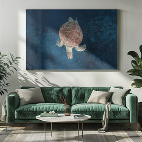 Green turtle on blue water Poster