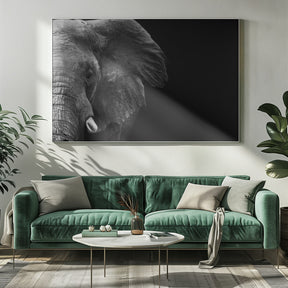 Elephant Poster