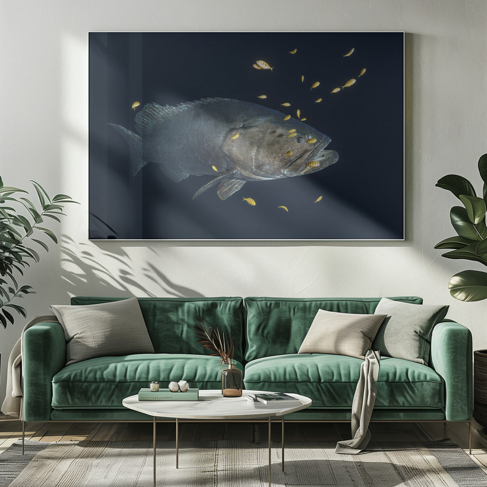 Giant grouper Poster