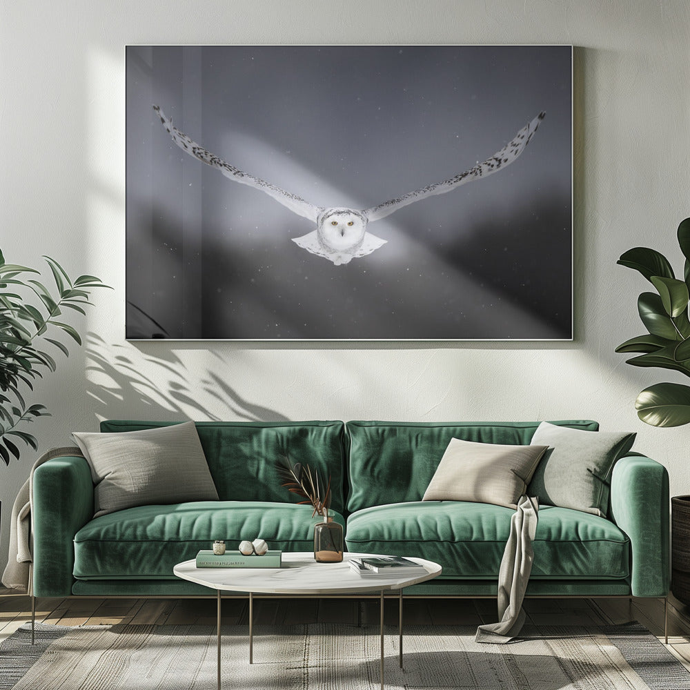 Straight to me Poster