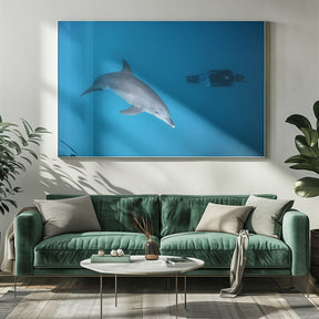 Dolphin and freediver Poster