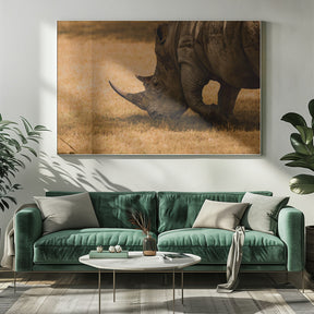 White rhino Poster