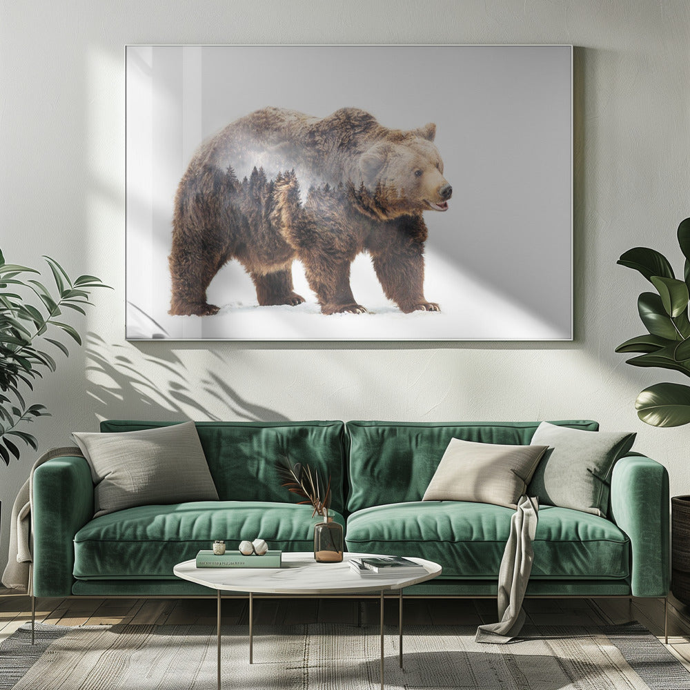 Bear Poster