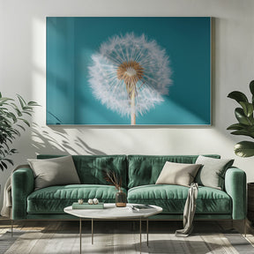 Dandelion Poster