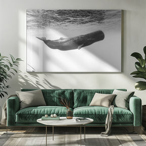 Sperm whale Poster