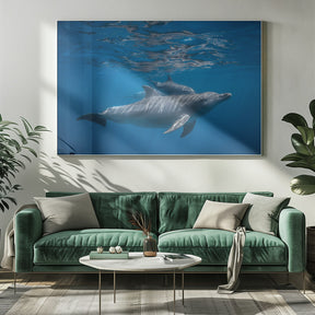 Pod of dolphin Poster