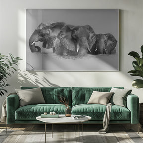 Elephant Crossing The River Poster