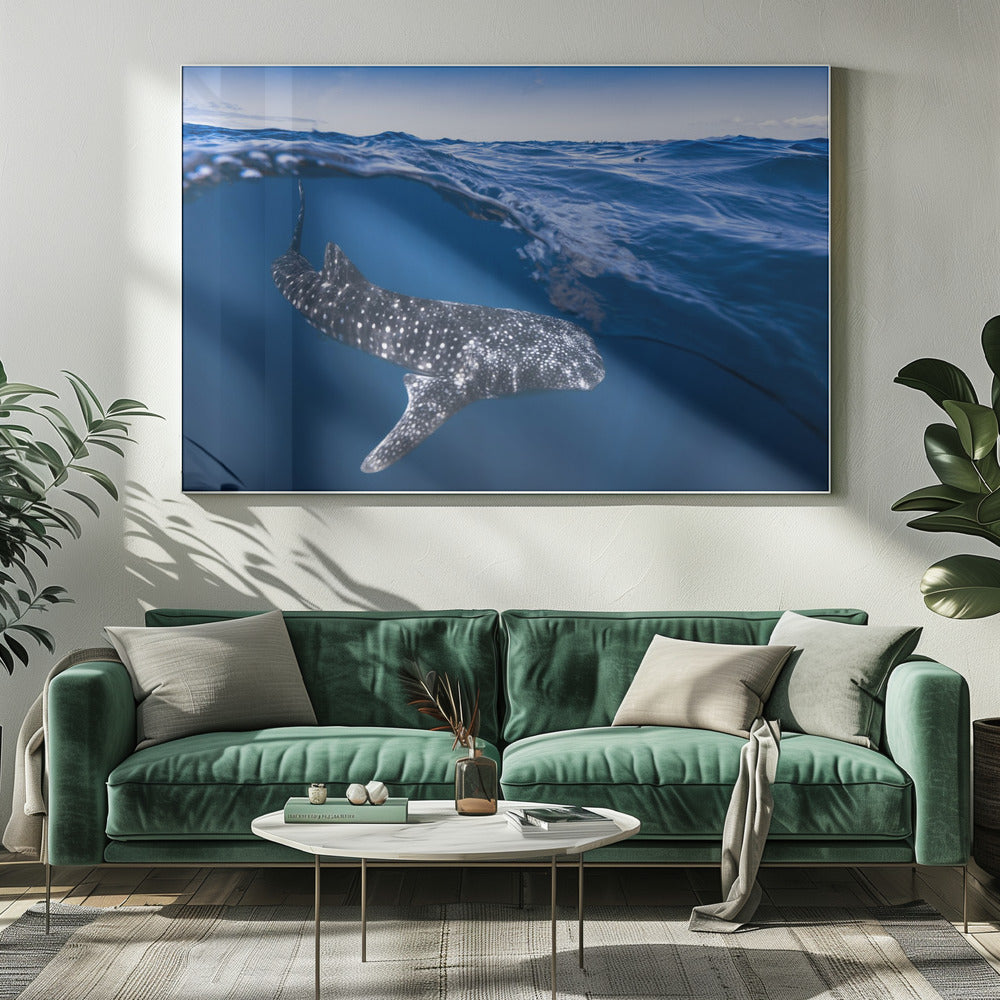 Whale Shark on split level Poster