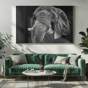 African Elephant Poster