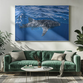 Whale shark : The biggest fish of the world Poster