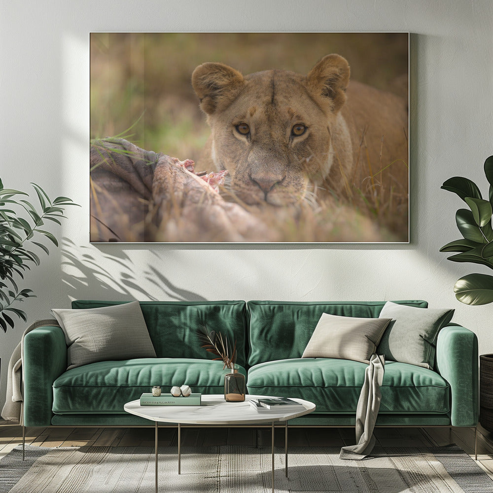 MARA LIONESS Poster