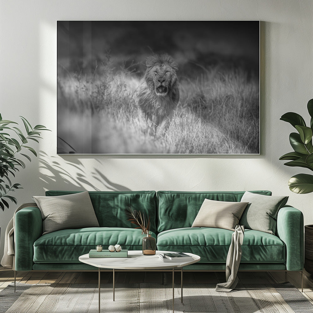 SERIOUS CONTENDER Poster