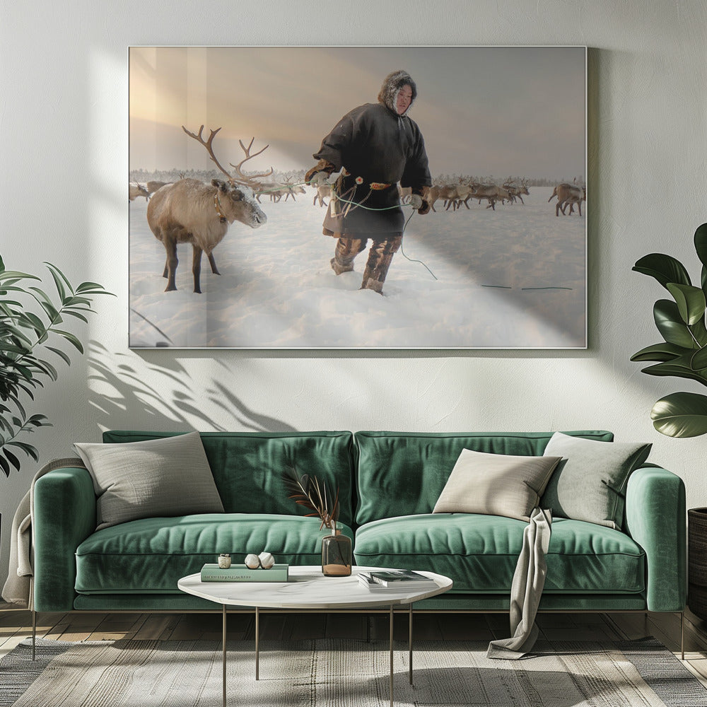 Nenet and reindeer Poster