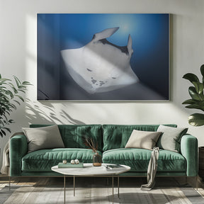 Océanic Manta Ray Poster