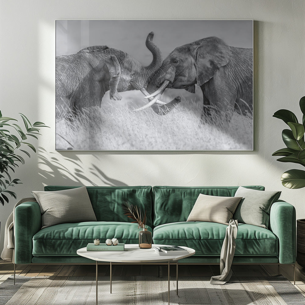 Elephant &quot;Tai Chi&quot; Poster