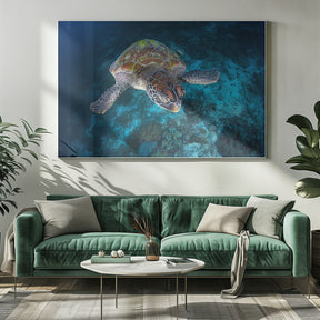 Green turtle from Sauwandarek Poster