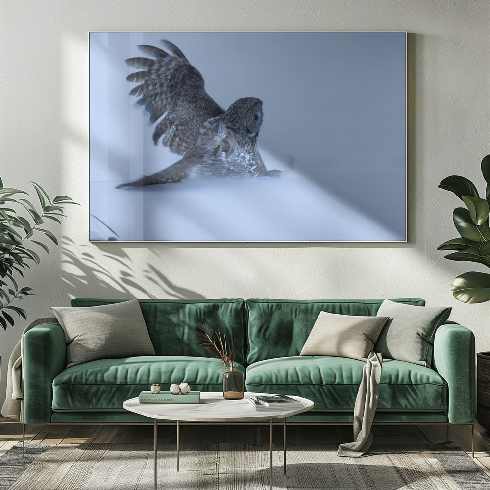 Sliding in The Snow Poster