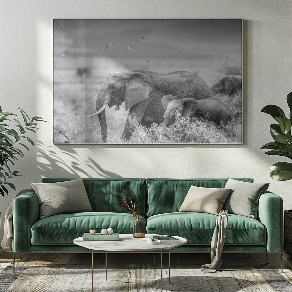 MONO ELEPHANT FAMILY Poster