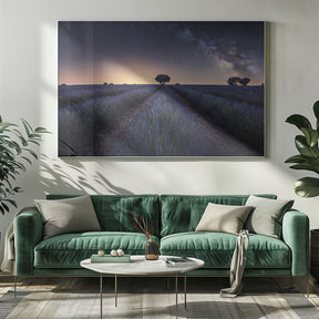 Lavender fields Poster