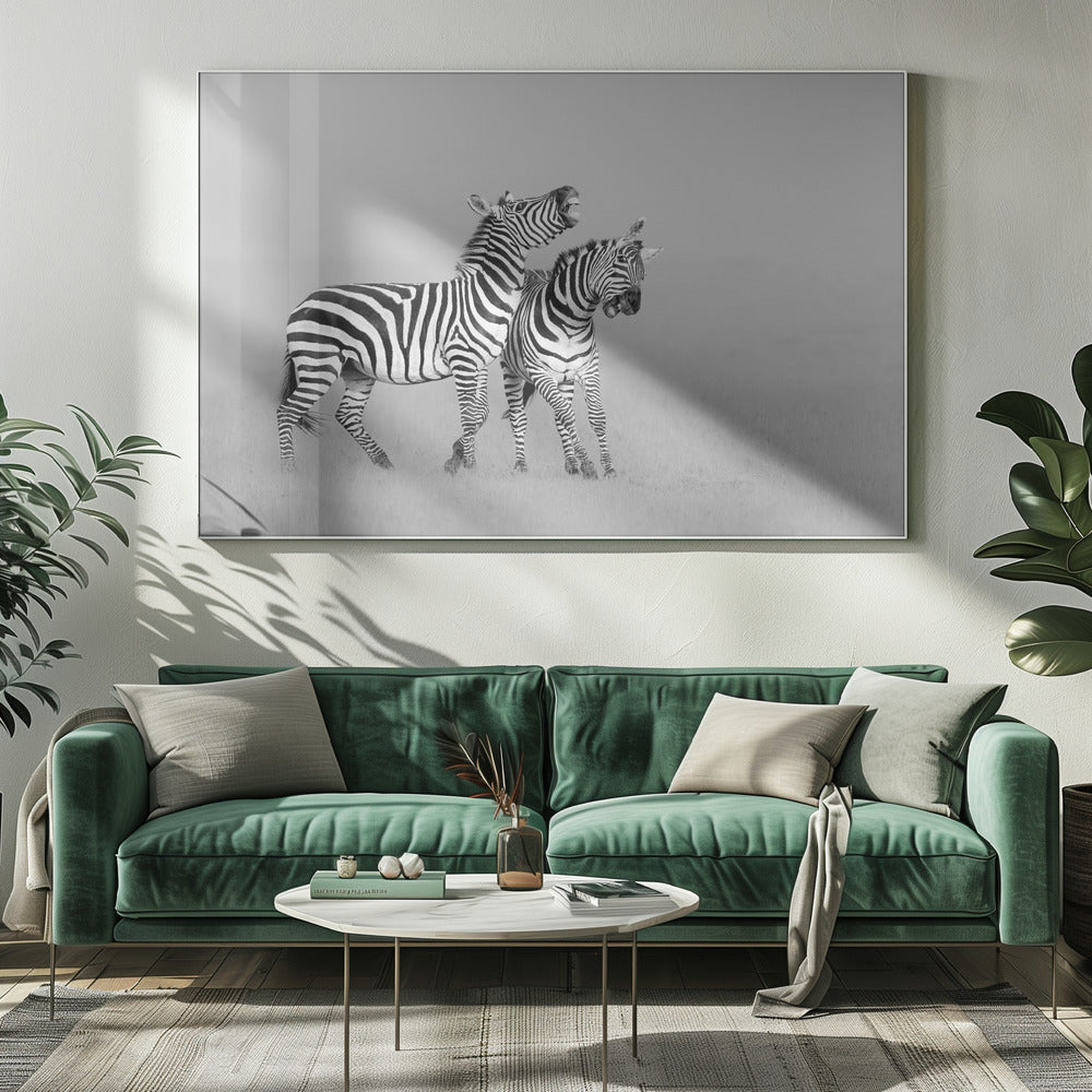 Zebras Poster