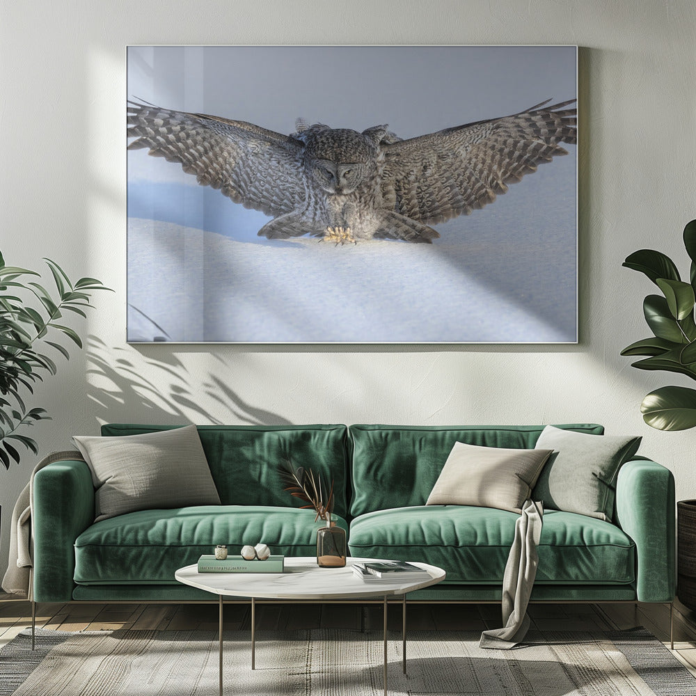 Hunting in The Morning Poster