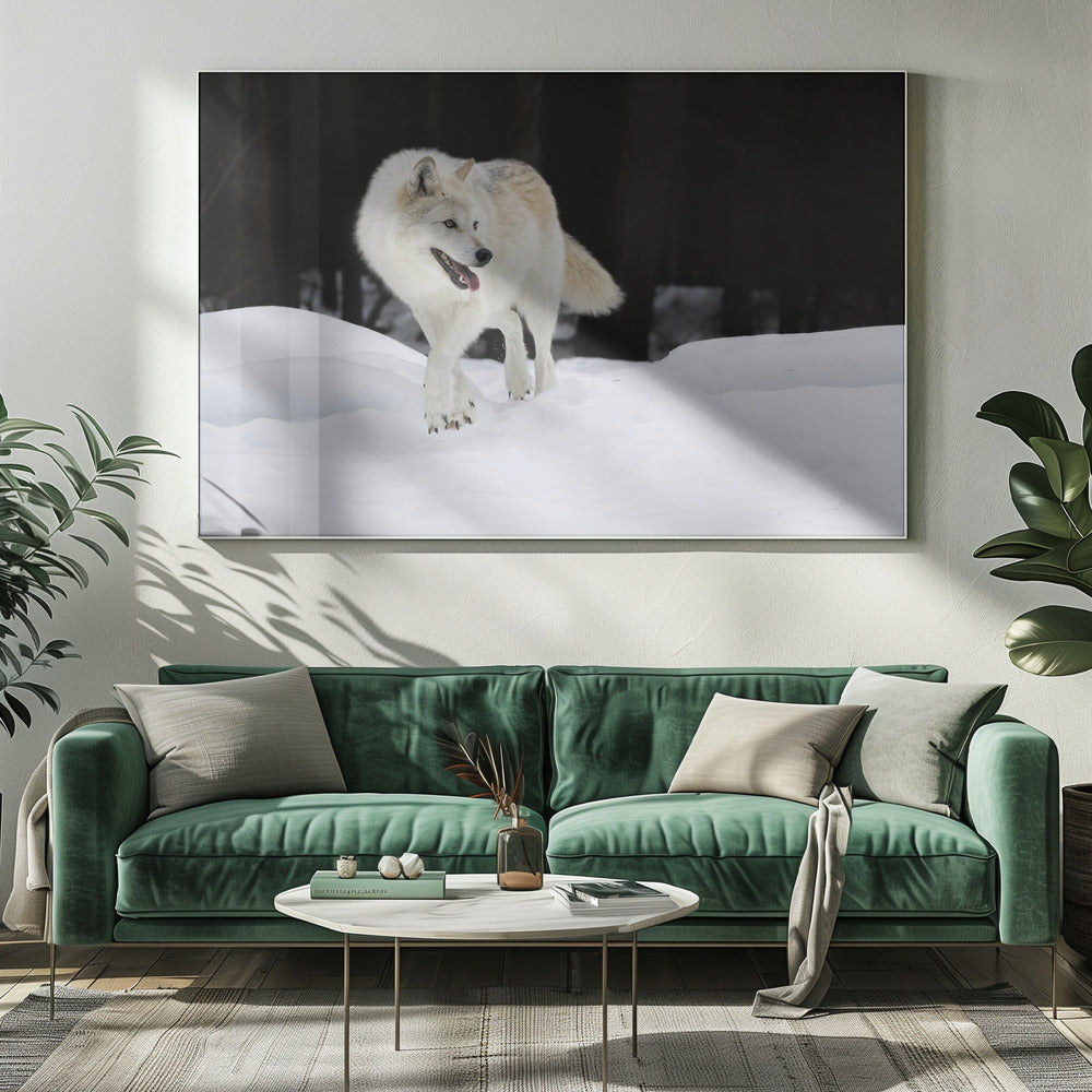 Out of The Dark Poster