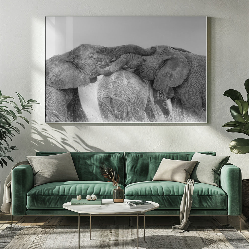 Elephant Playing Poster