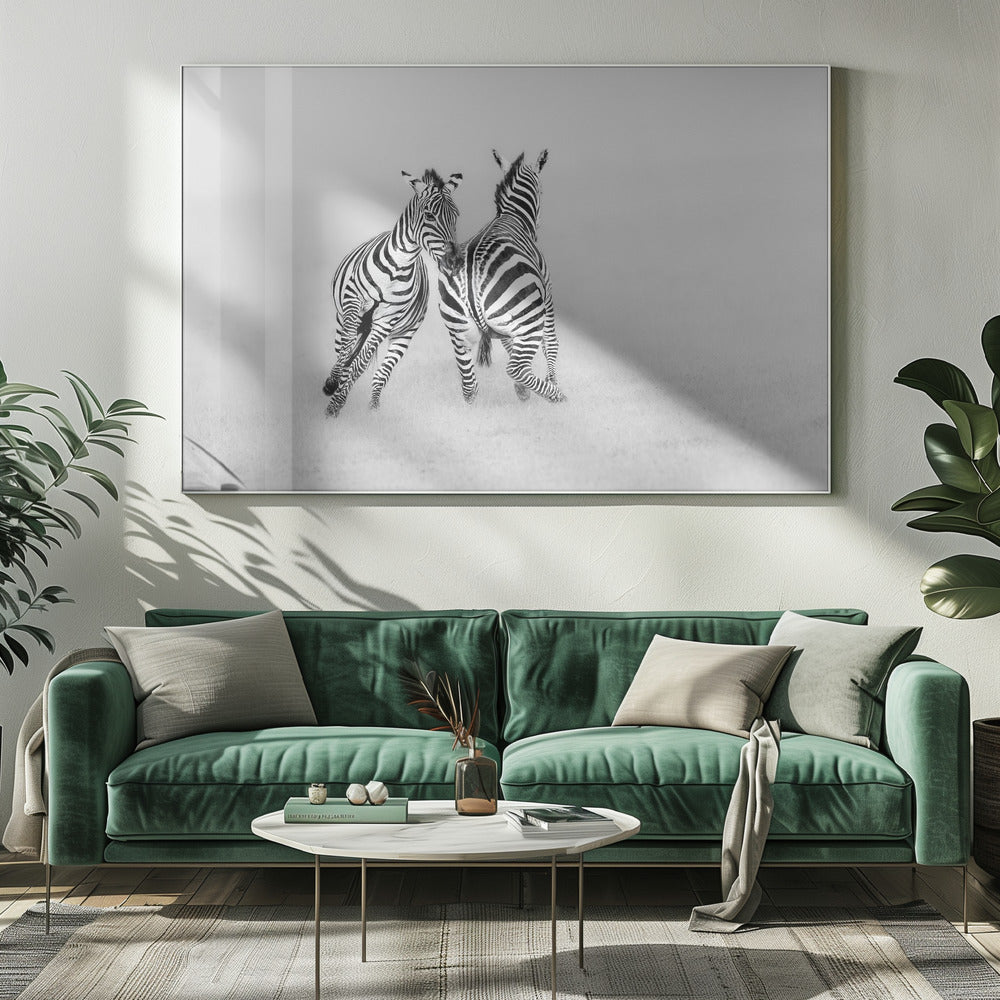 Playing or Fighting? Poster