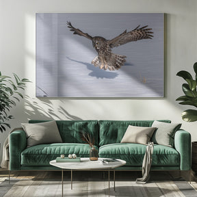 Great Grey Owl Poster