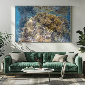 Reef of Mayotte Poster