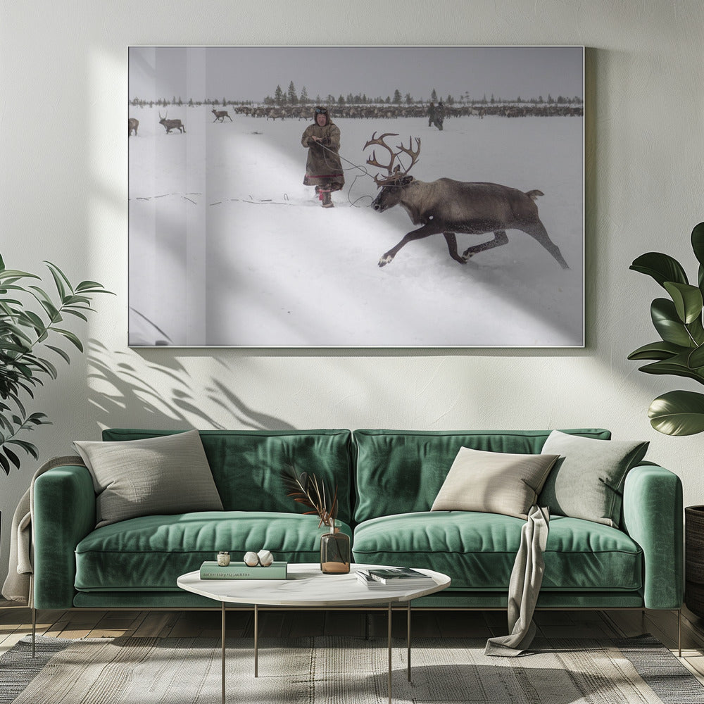 Jigori hunts reindeer II Poster