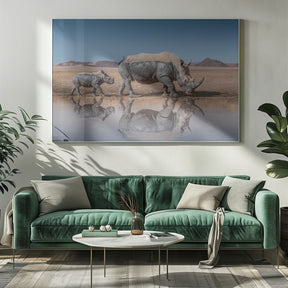 RhinosWalk Poster