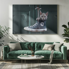 CatShoe Poster