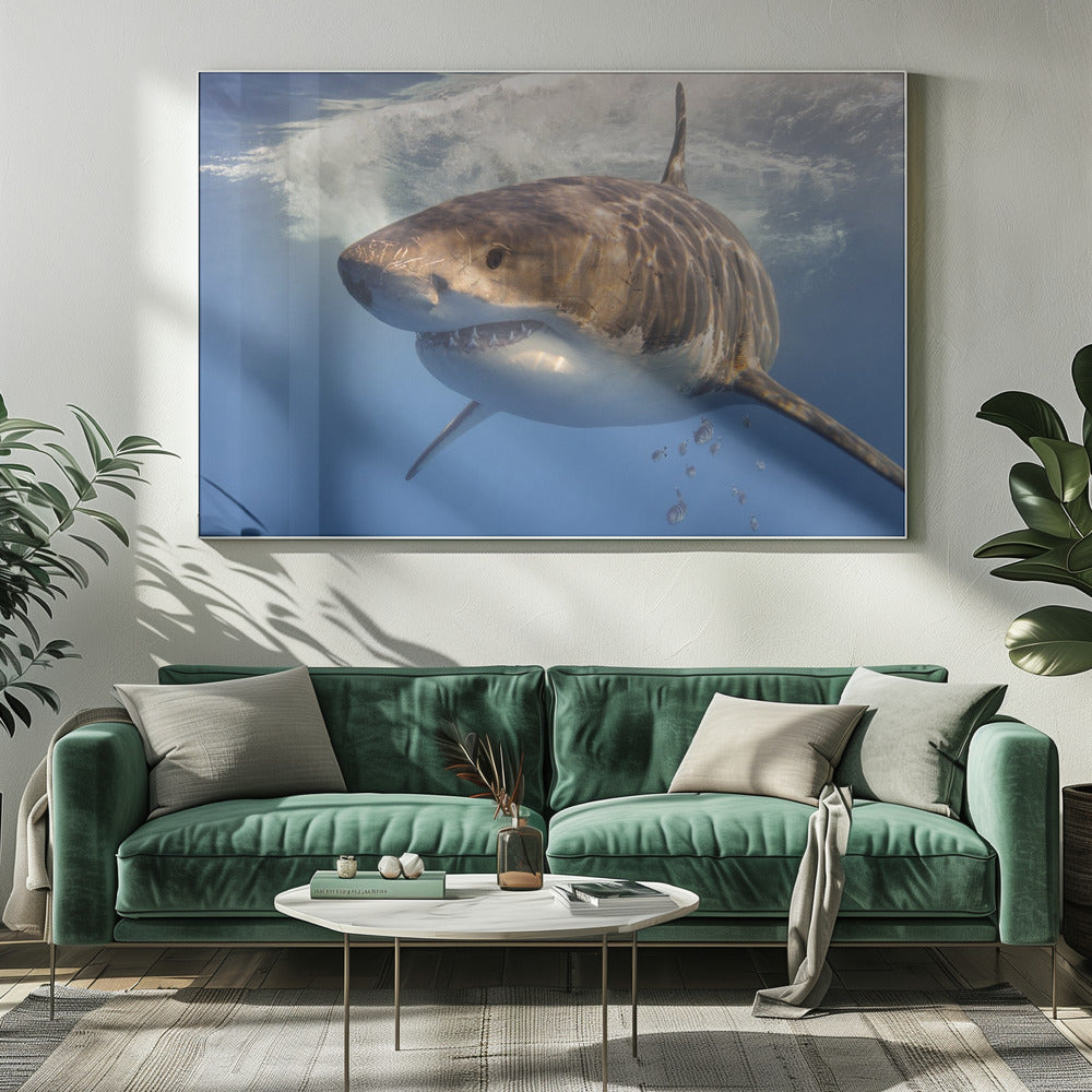 Great White Poster