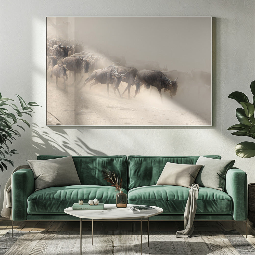 DUST AND DUST Poster