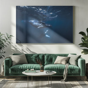 Humpback Whale on the blue Poster