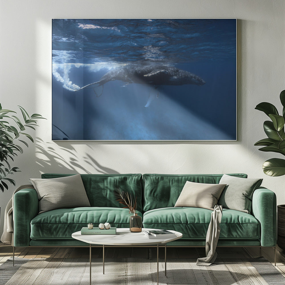 Humpback whale on the Iris bank Poster