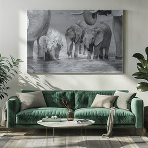 Elephant Babies Poster