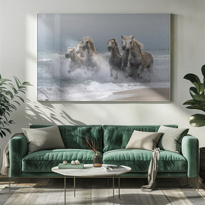 Wild horses Poster