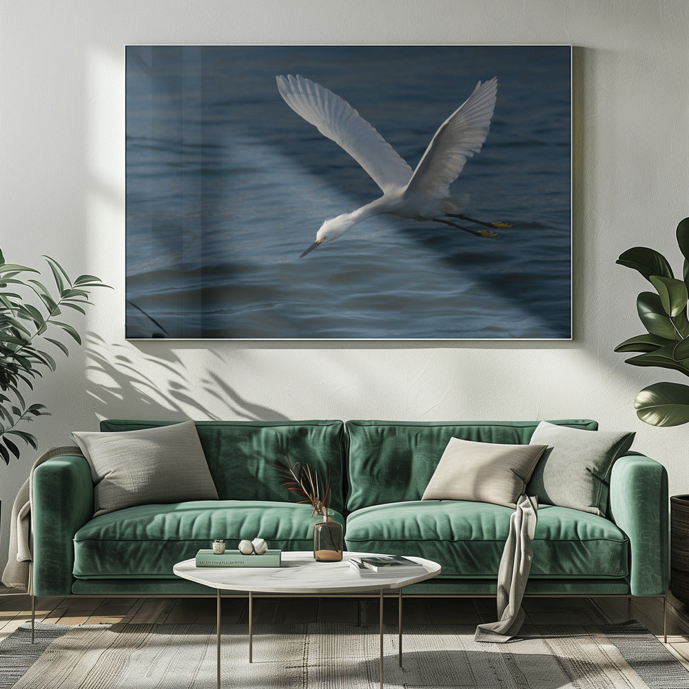 Gliding over the Ocean Poster