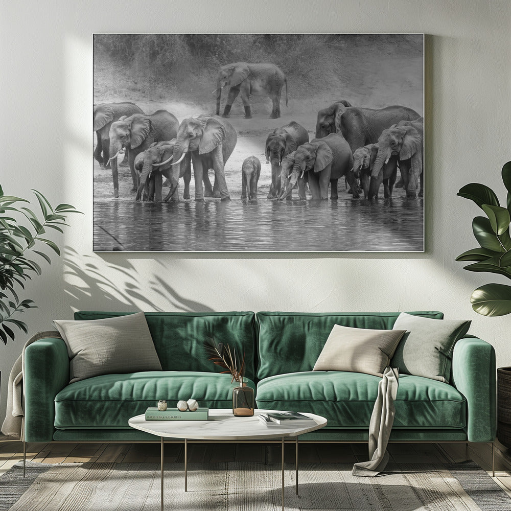 Elephant Family Poster