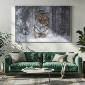 SnowTiger Poster