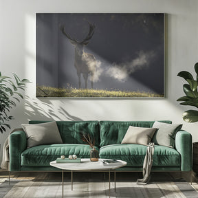 Red deer Poster