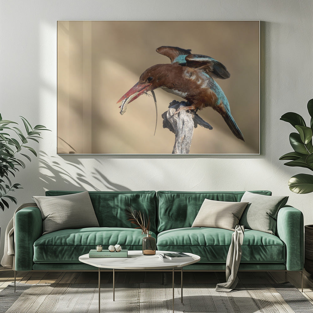 Kingfisher Poster