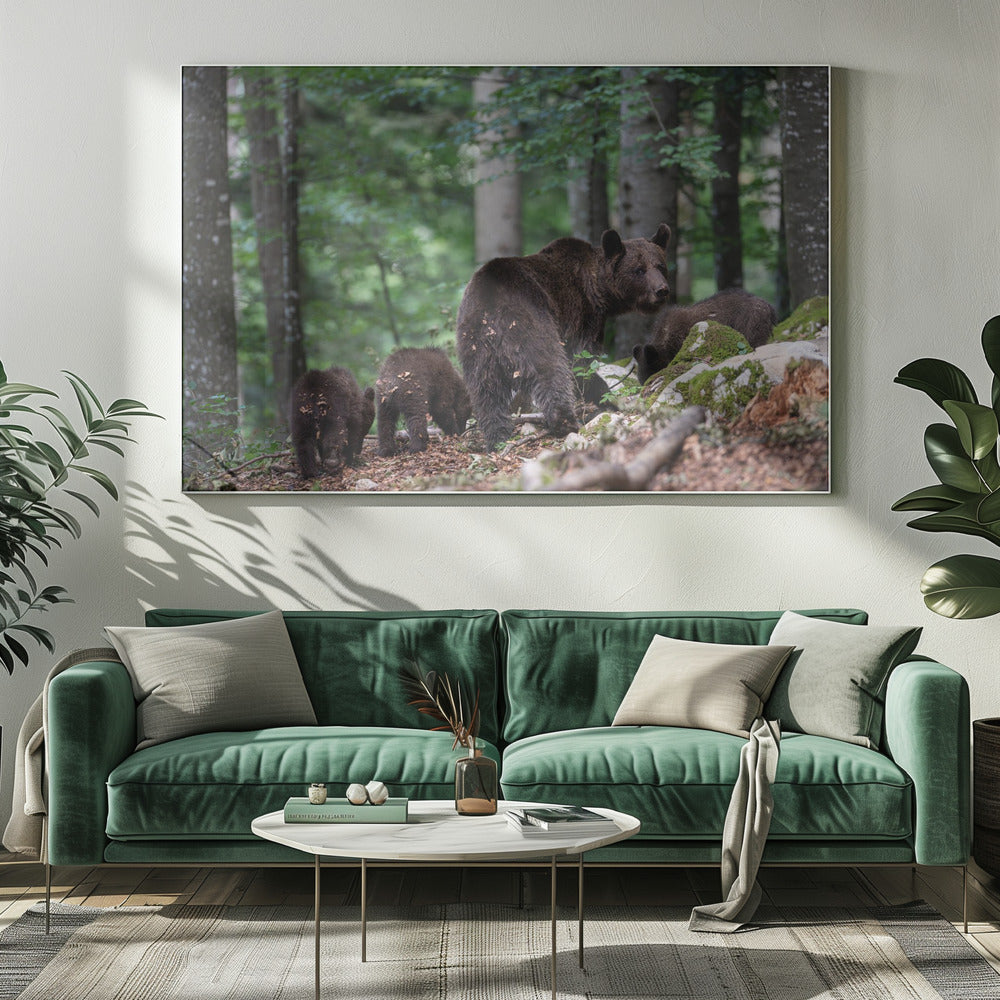 bear family Poster